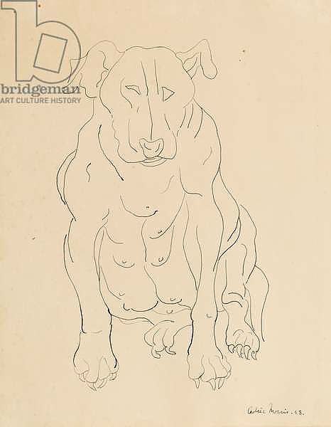 Nancy Morris’s bull dog, 1928