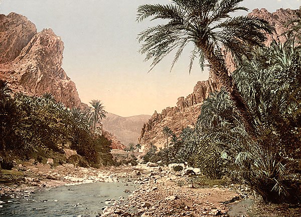 Египет. Река в Эль-Кантара