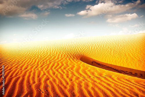 Песчаные волны пустыни