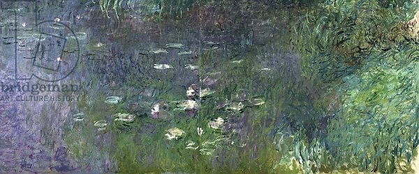 Waterlilies: Morning, 1914-18 5