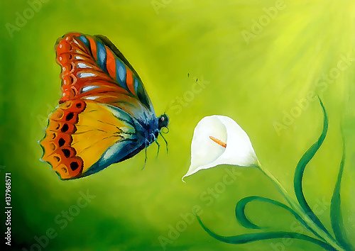 Бабочка над цветком каллы на зеленом фоне