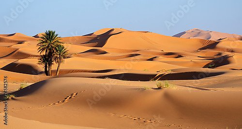 Марокко. Sand dunes of Sahara desert