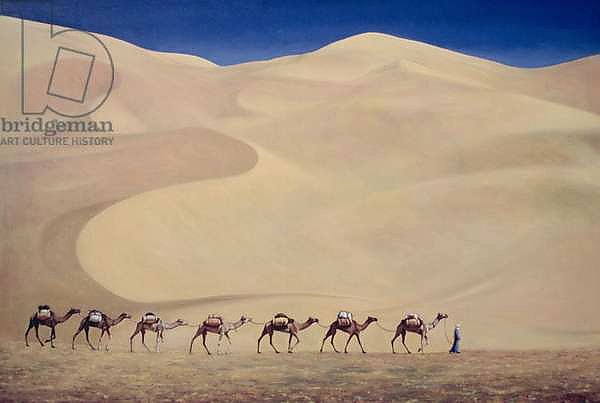 Camel Train 1993