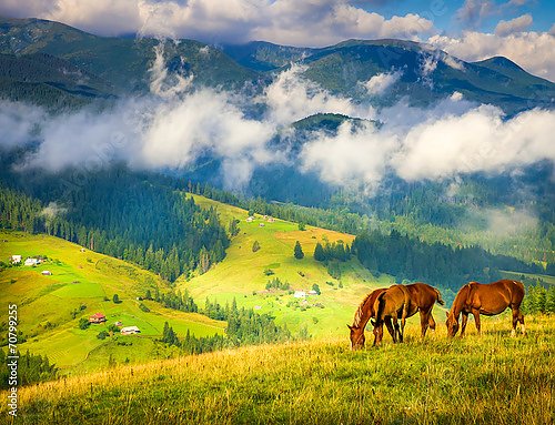Удивительный горный пейзаж с туманом и лошадьми