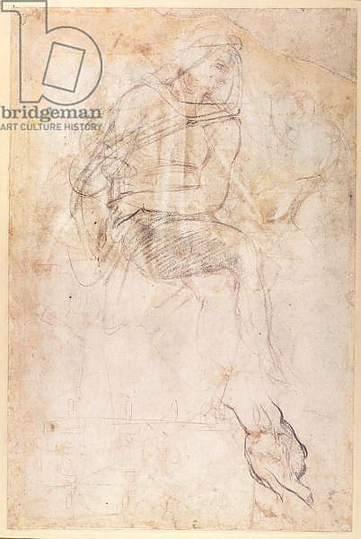 Study for the Ignudi above the Persian Sibyl in the Sistine Chapel, 1508-12