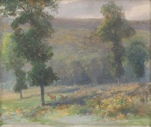 A grove with deer