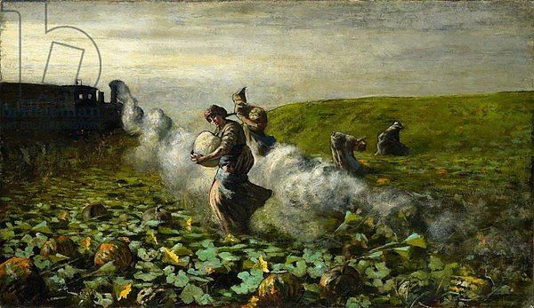 The Pumpkin Harvest, 1897