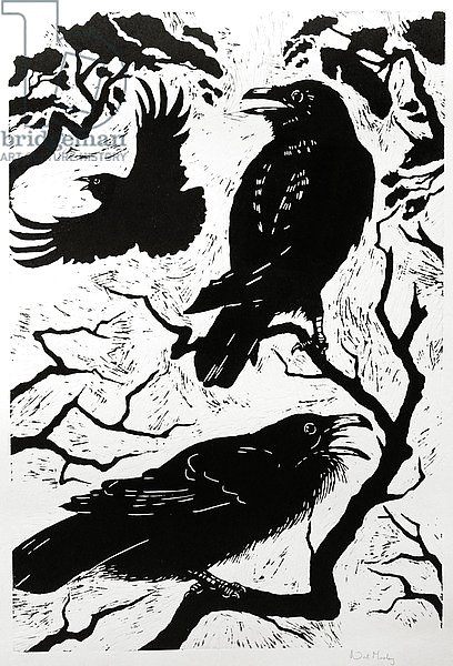 Ravens, 1998