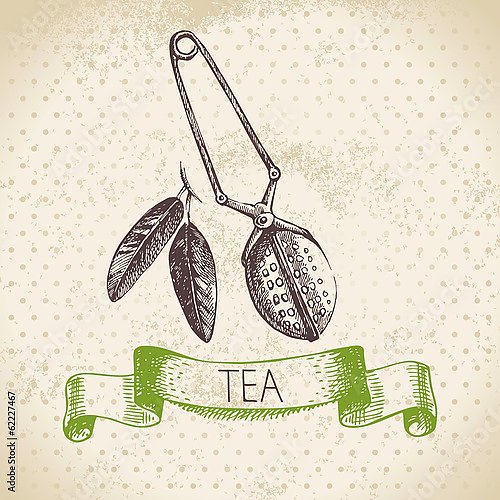 Иллюстрация с заваркой чая