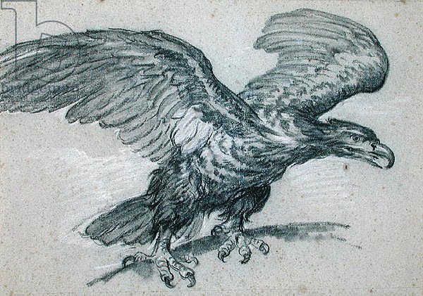 An Eagle, 1811