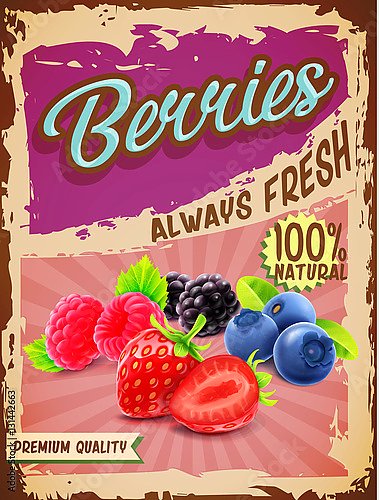 Ретро плакат с лесными ягодами