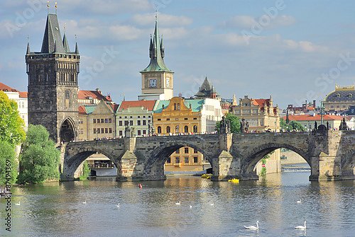 Чехия, Прага. Вид на Карлов мост с лебедями