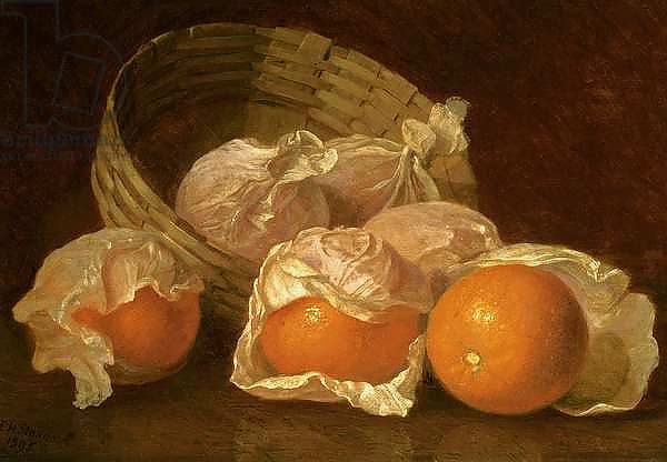 A Basket of Oranges, 1895