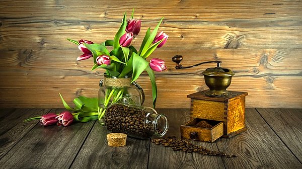 Банка кофейных зерен, кофемолка и букет тюльпанов