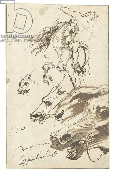 Study of Rider and head of a Horse, 1620-1