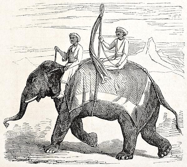 Elephant in Oude, antique Indian northern kingdom, By unidentified author, published on L'Illustrati
