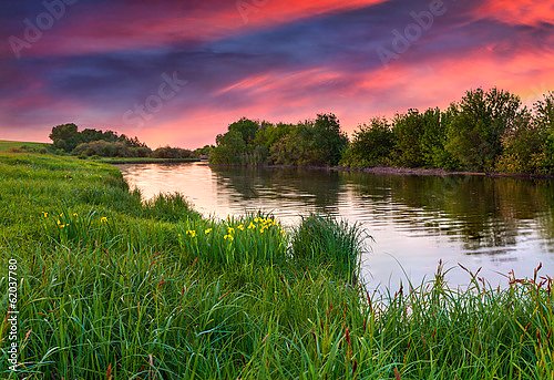 Цветущий луг у реки. Закат