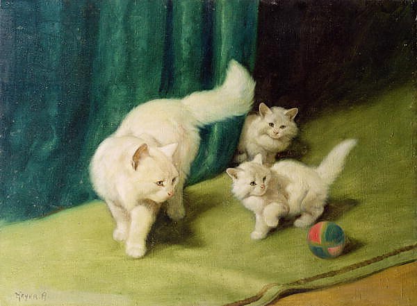White Persian Cat with Two Kittens