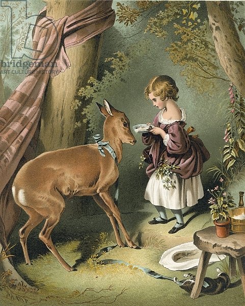 Girl feeding deer