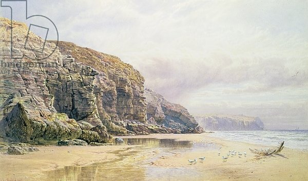 The Coast of Cornwall