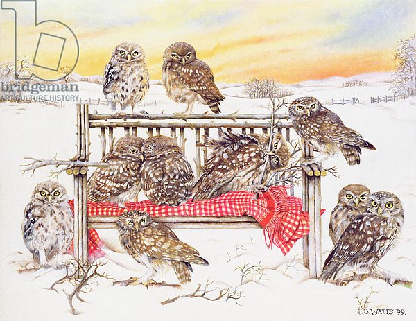 Little Owls on Twig Bench, 1999