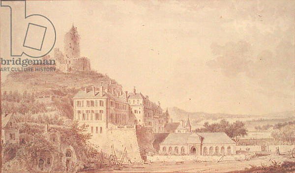 Chateau de La Roche-Guyon