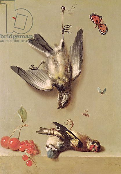 Still Life of Dead Birds and Cherries, 1712