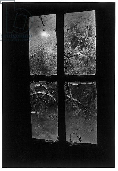 Window, Castle Frankenstein