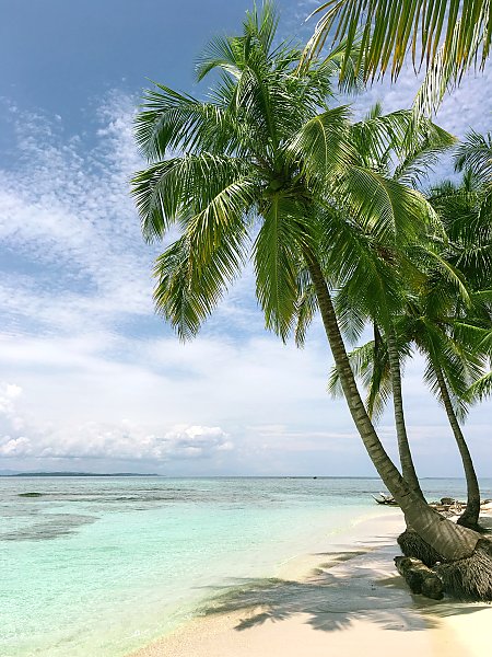 Белый пляж с пальмами