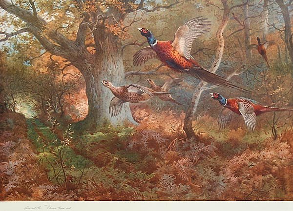 Pheasants in flight