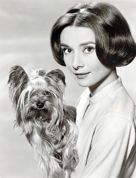 Hepburn, Audrey 12