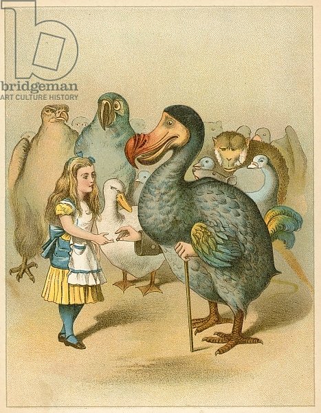 The Dodo solemnly presented the thimble from Alice's Adventures in Wonderland
