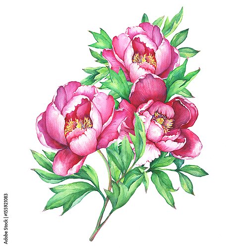 Букет из трех розовых пионов