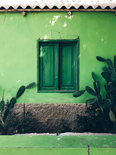 Зеленый дом с кактусами