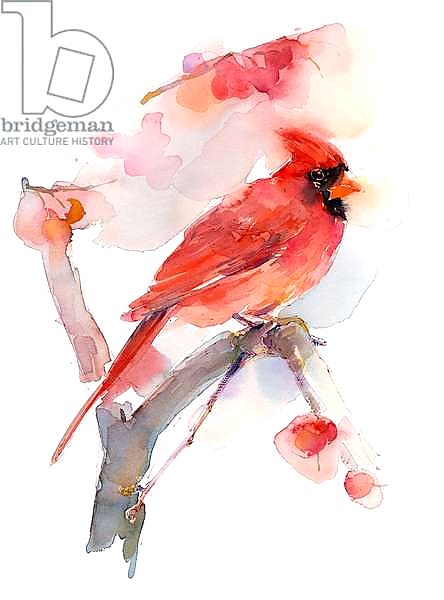 Red cardinal, 2016,
