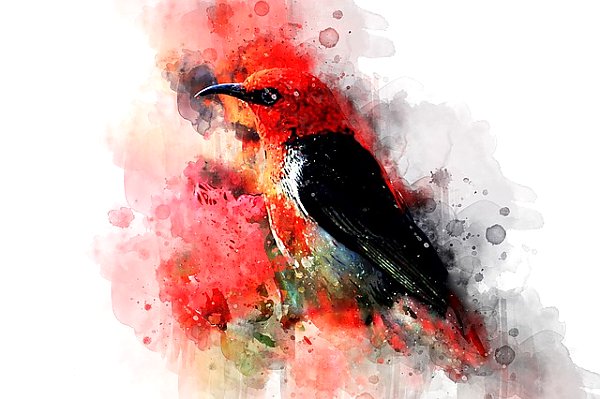 Красная акварельная птичка
