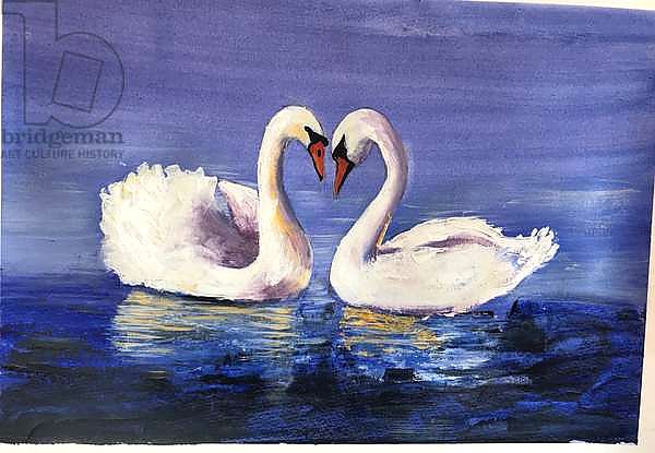 Swans 5