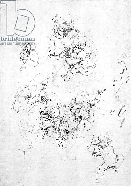 Studies for a Madonna with a cat, c.1478-80 1