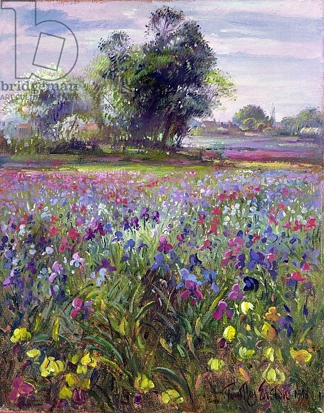 Irises and Distant May Tree, 1993