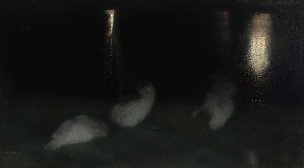 Nocturne. Swans in the Saxon Garden in Warsaw at night