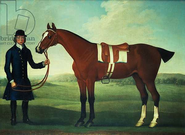 A Bay Hunter Held by a Groom