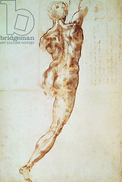 Nude, study for the Battle of Cascina