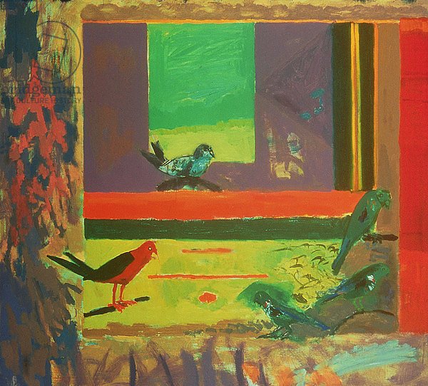 Birds, 1994