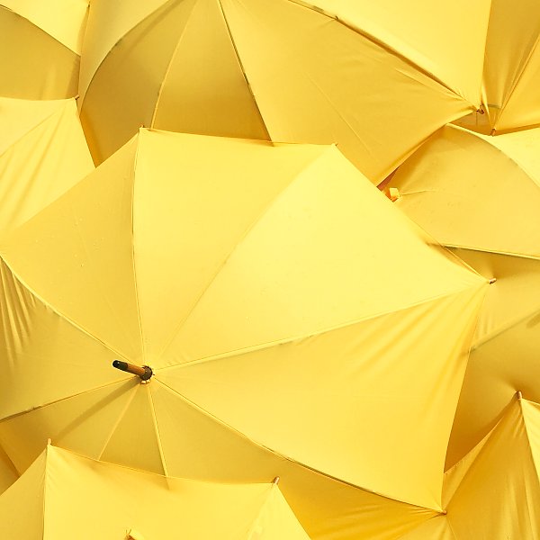 Желтые зонты