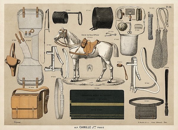 Хромолитография лошадей со старинным оборудованием для верховой езды (1890), из антикварного каталога для верховой езды.