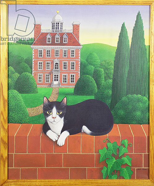 The Cat on the Wall, 1986