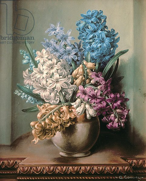 AB/313 Hyacinths in a Pottery Vase