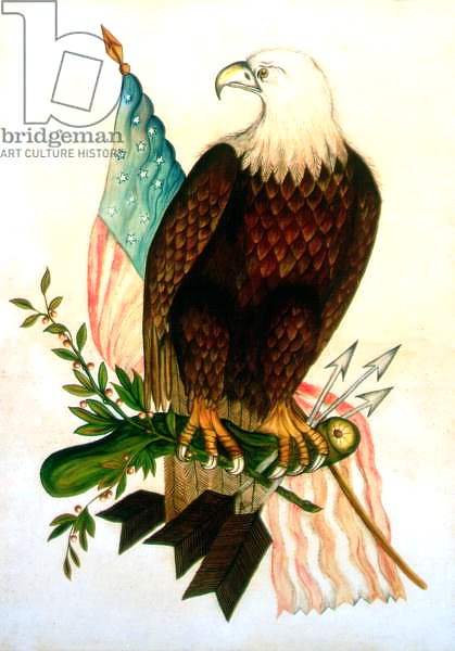 Bald eagle with flag