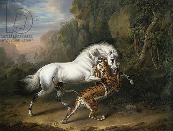 A Tiger attacking an Arab Stallion, 1824