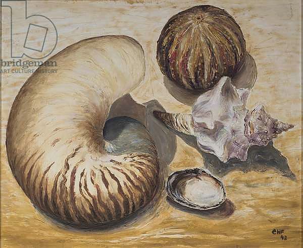 Seashells, 1993
